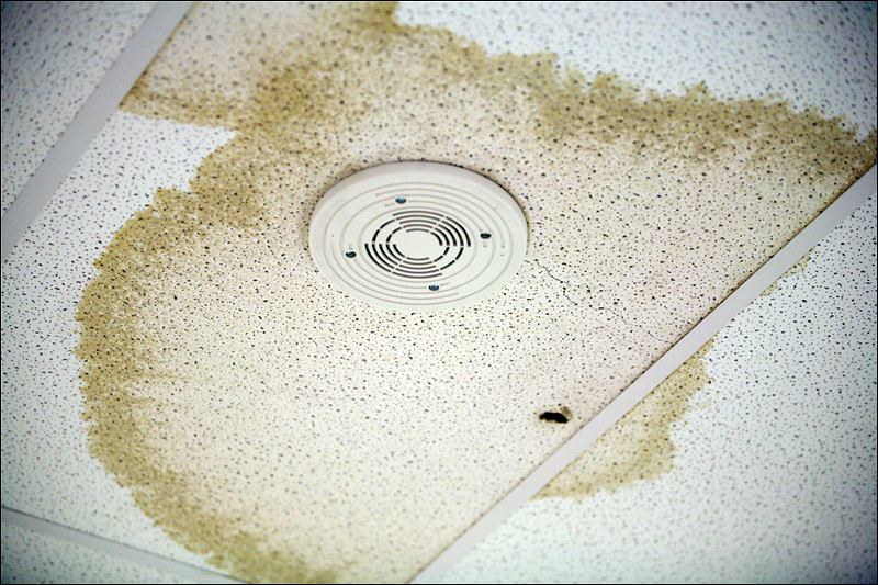 How To Fix Water Damaged Ceiling Tnt Carpet Caretnt Carpet Care