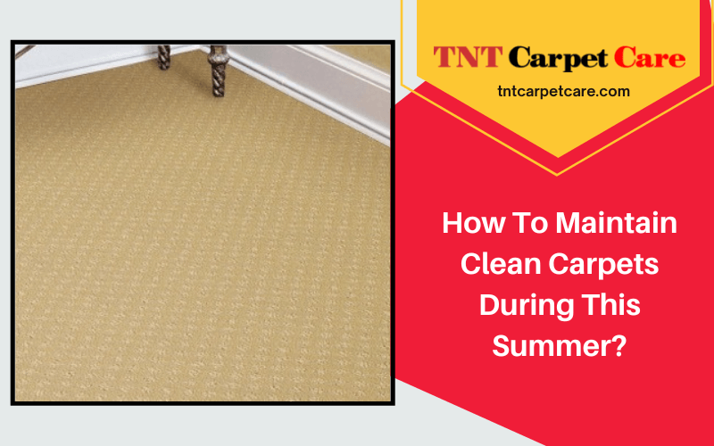 How To Maintain Clean Carpets During This Summer