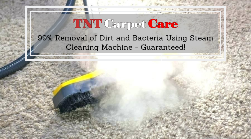 99% Removal of Dirt and Bacteria Using Steam Cleaning Machine - Guaranteed!