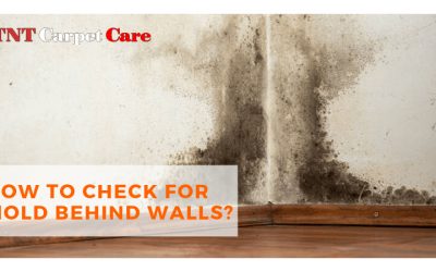 How To Check For Mold Behind Walls?