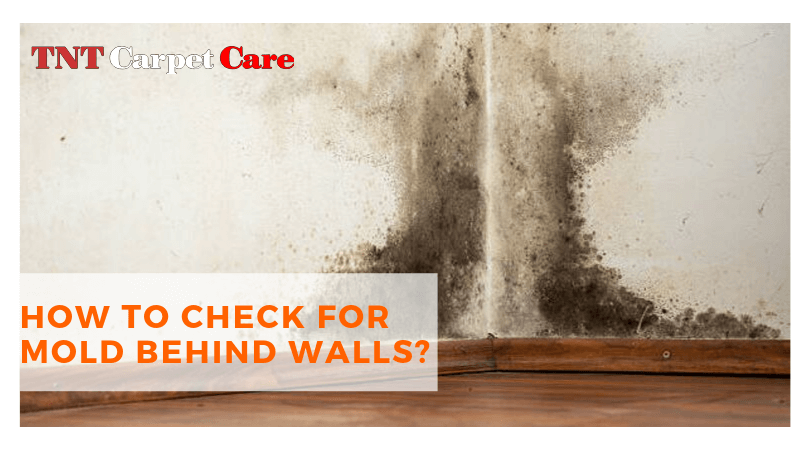 How To Check For Mold Behind Walls?