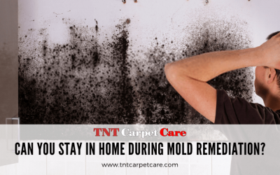 Can You Stay In Home During Mold Remediation?