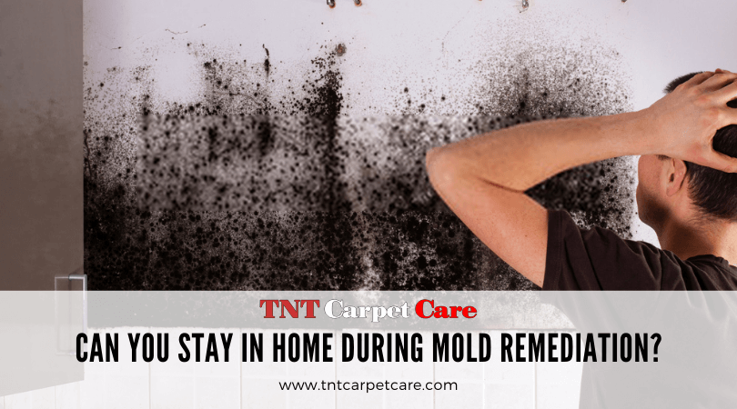 Can You Stay In Home During Mold Remediation