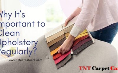 Why It’s Important to Clean Upholstery Regularly?