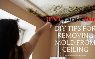 DIY Tips For Removing Mold From Ceiling