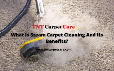 What Is Steam Carpet Cleaning And Its Benefits?
