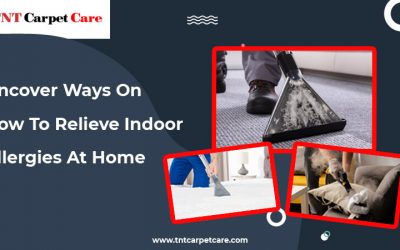 Uncover Ways On How To Relieve Indoor Allergies At Home