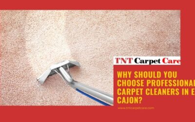 Why Should You Choose Professional Carpet Cleaners in El Cajon?