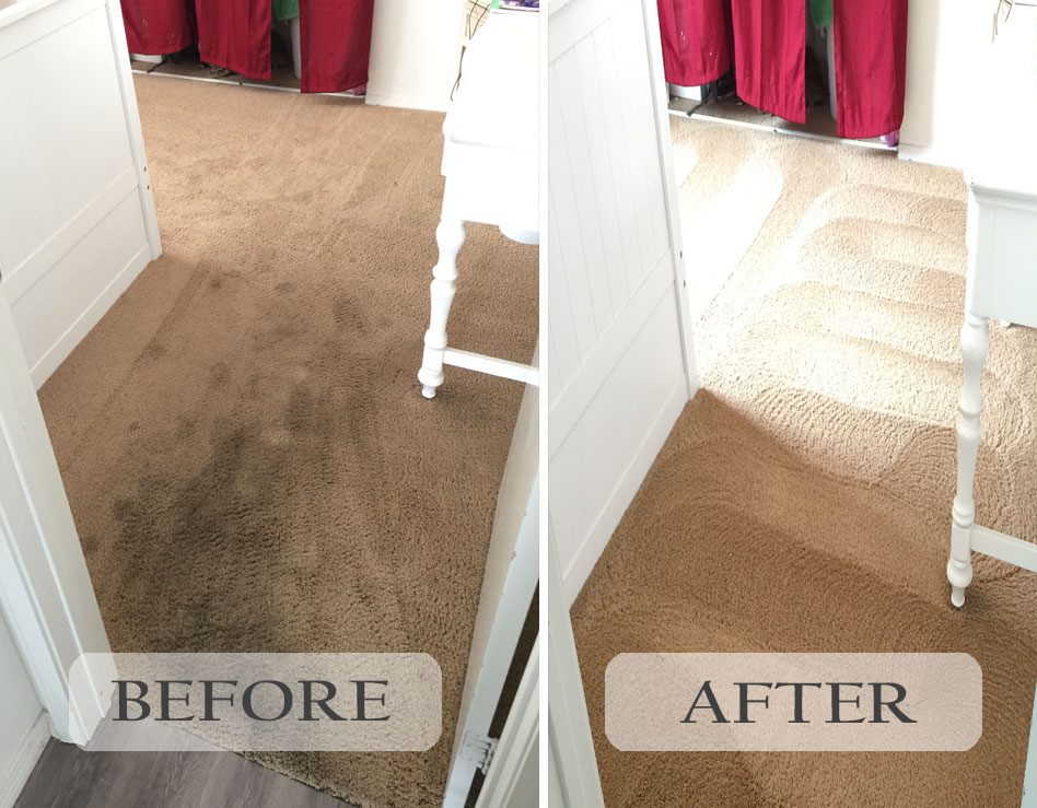 Best Carpet Cleaning Services La Mesa
