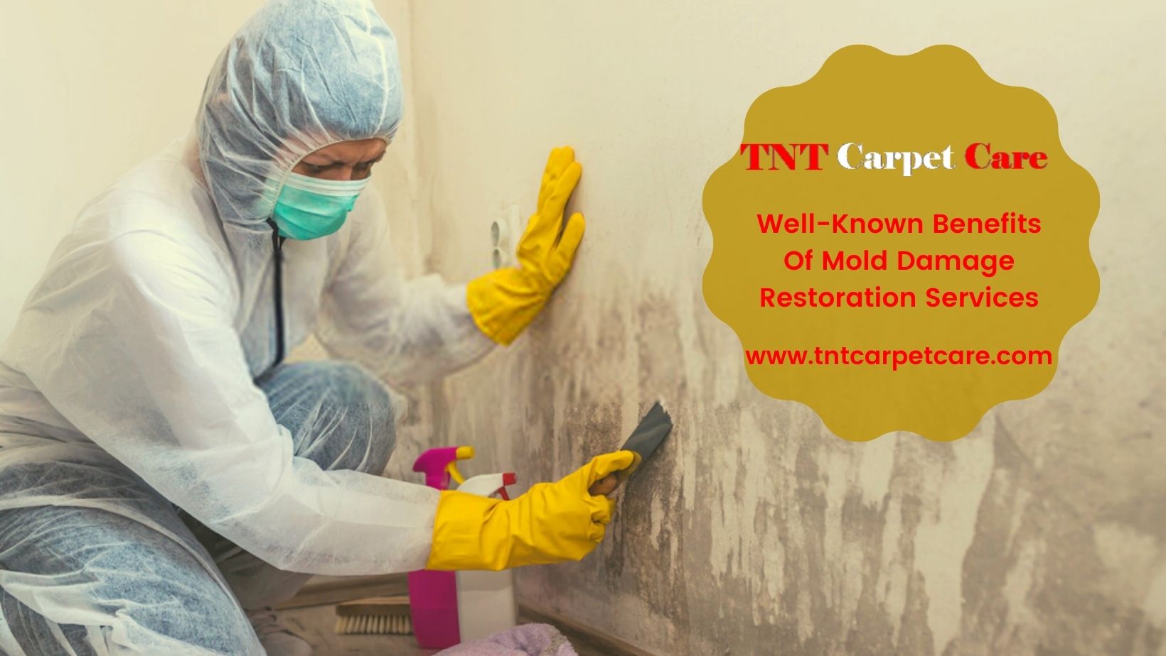 mold damage restoration services