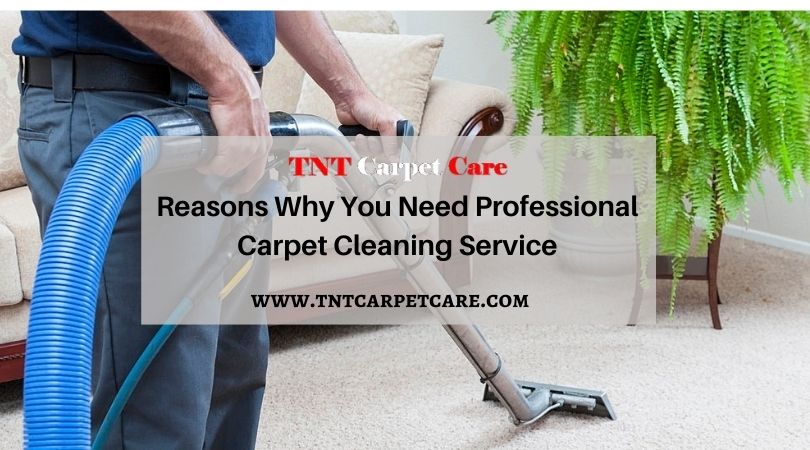 why you need professional carpet cleaning