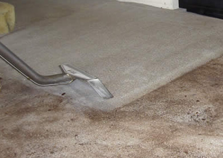 Carpet Cleaners La Mesa Carpet Cleaning Services Company