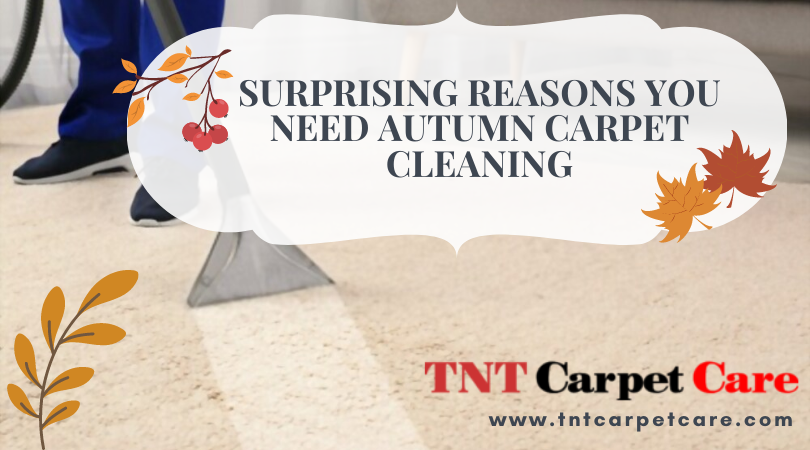 Surprising Reasons You Need Autumn Carpet Cleaning
