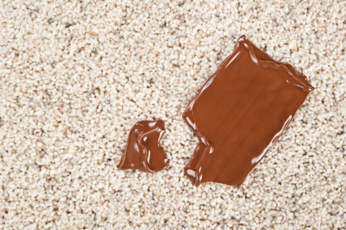 Chocolate Stains On Carpet El Cajon