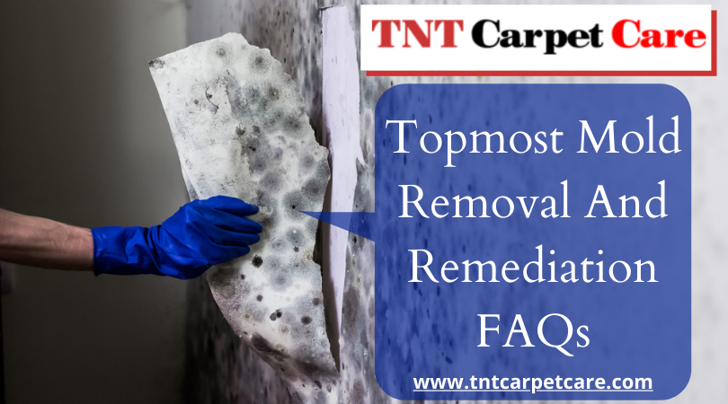 mold removal and remediation faqs El Cajon