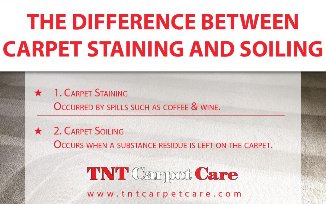 The Difference Between Carpet Staining and Soiling