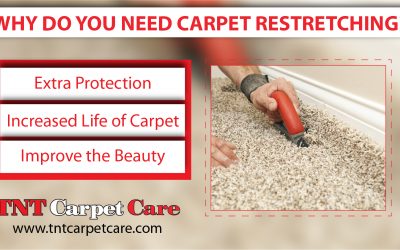 Why Do You Need Carpet Restretching?
