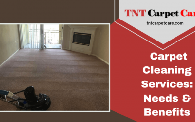 Carpet Cleaning Services: Needs, Benefits, Cost & Effective Tips