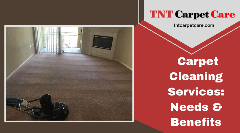 Carpet Cleaning Services Needs & Benefits
