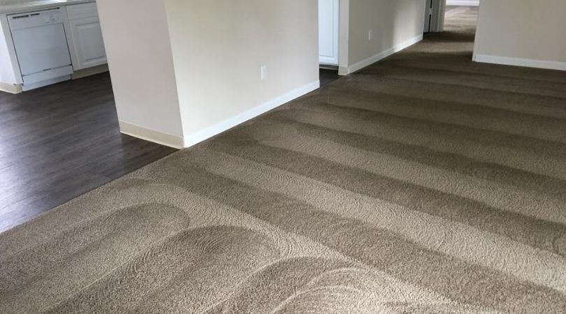 Importance Of Carpet Cleaning Service