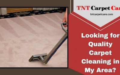 Looking for Quality Carpet Cleaning in My Area?
