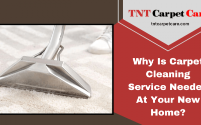 Why is Carpet Cleaning Service Needed at Your New Home?