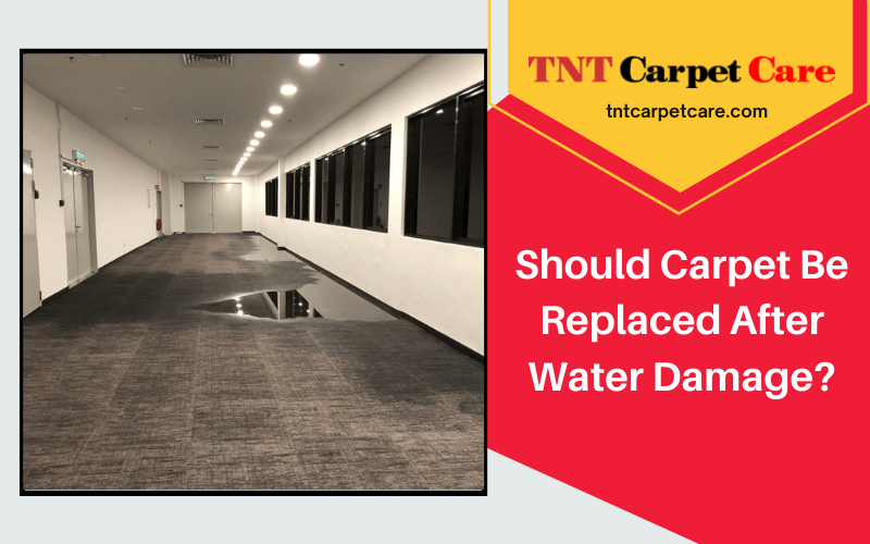 Should Carpet Be Replaced After Water Damage