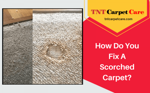 Scorched Rug How Do You Fix A Scorched Carpet | El Cajon, CA