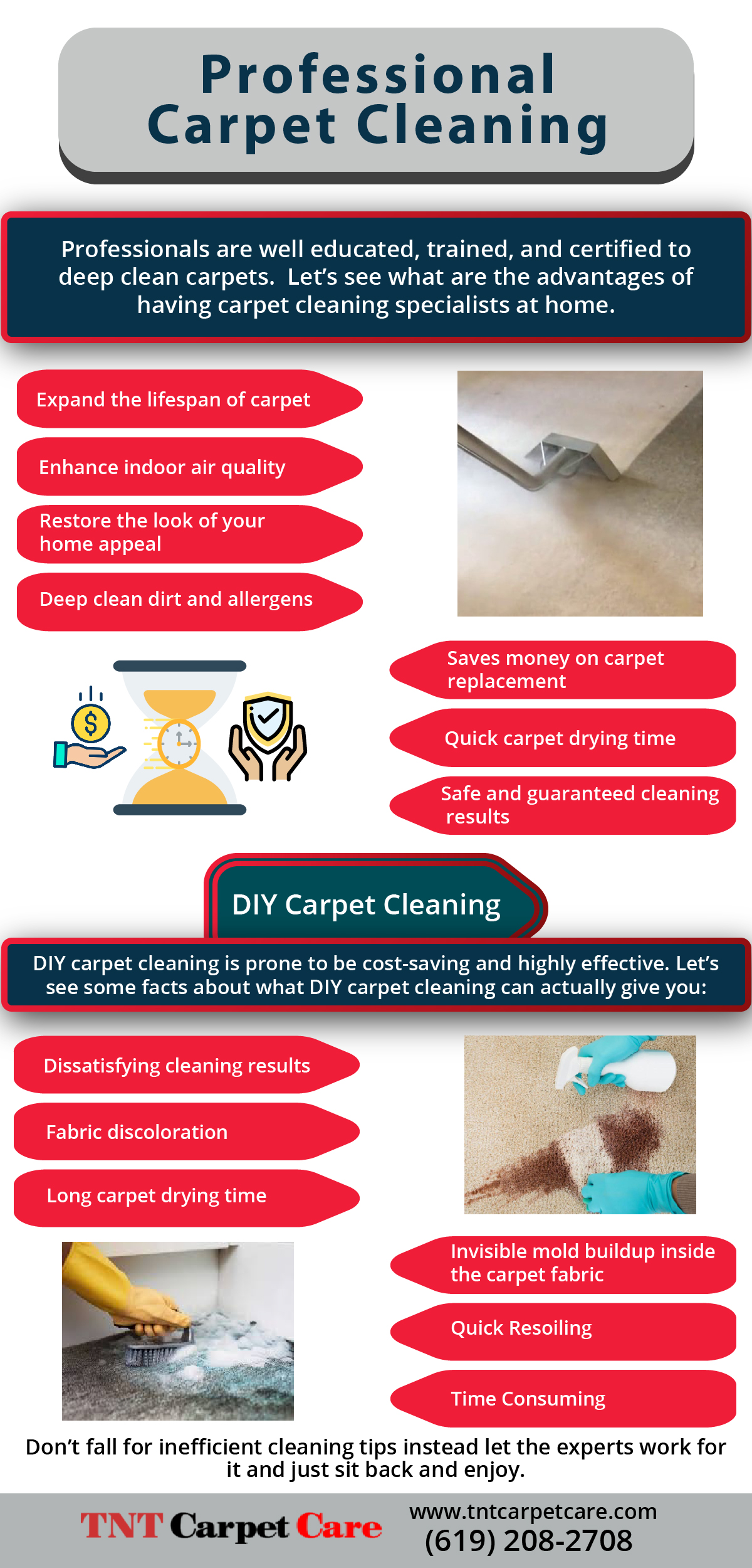 Professional Carpet Cleaning Vs Diy [Infographic]