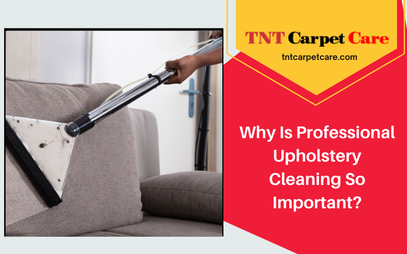 Why Is Professional Upholstery Cleaning So Important