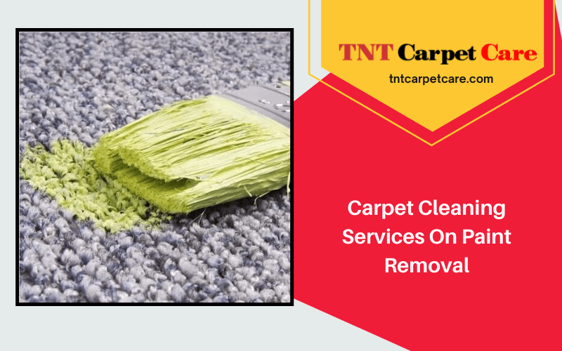 Carpet Cleaning Services On Paint Removal