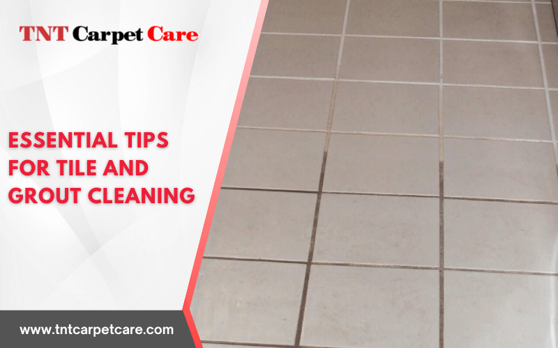 Essential Tips For Tile and Grout Cleaning