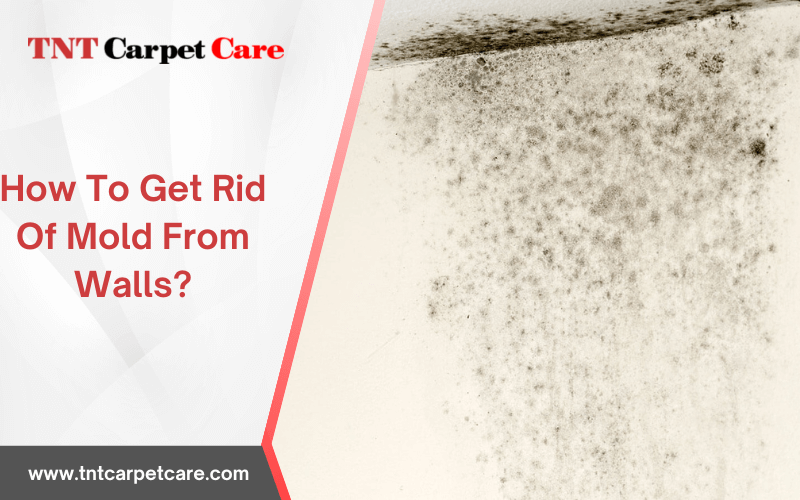 How To Get Rid Of Mold From Walls