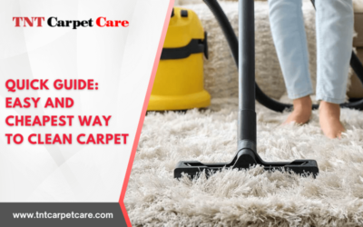 Quick Guide: Easy and Cheapest Way to Clean Carpet