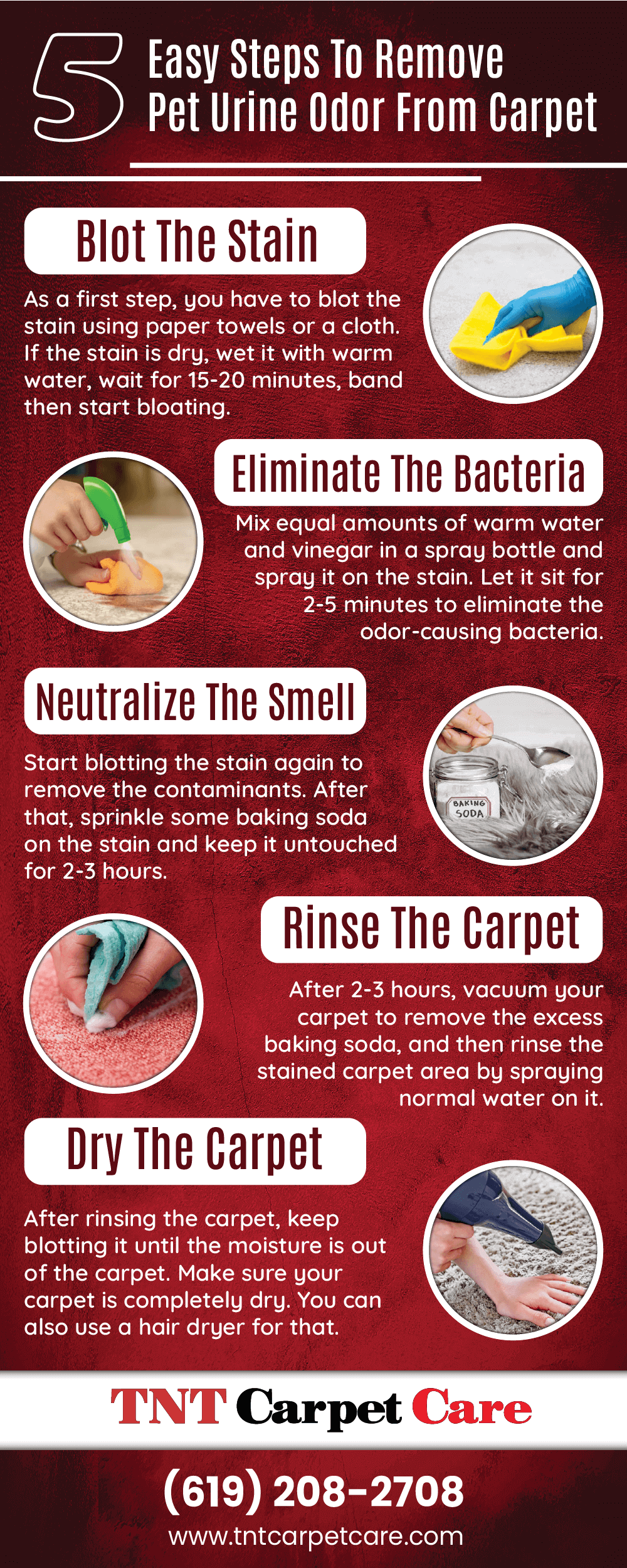 5 Easy Steps To Remove Pet Urine Odor From Carpet