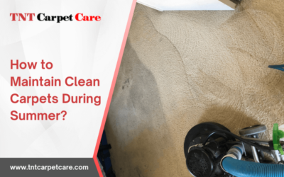 How to Maintain Clean Carpets During Summer?