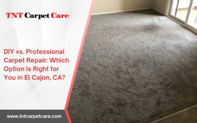Diy Vs. Professional Carpet Repair: Which Option Is Right For You In El Cajon, Ca?