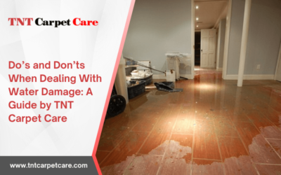 Do’s and Don’ts When Dealing With Water Damage: A Guide by TNT Carpet Care